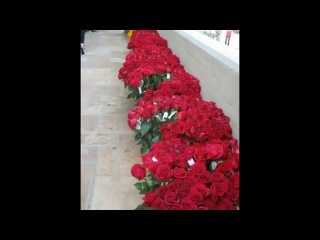 Одна роза для Майкла Дж. Джексона Видеозапись от прошлогоднего моря роз в Holly Terrace. One Rose for Michael J. Jackson 201